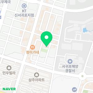 황금빗자루 수세미본부