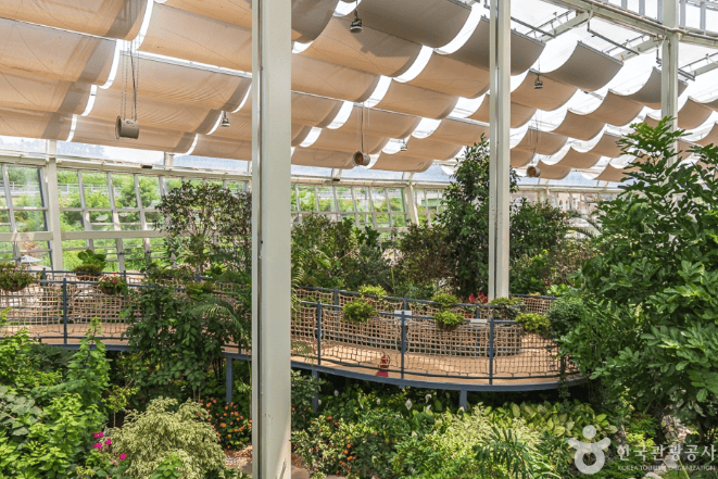 충북 레인보우식물원