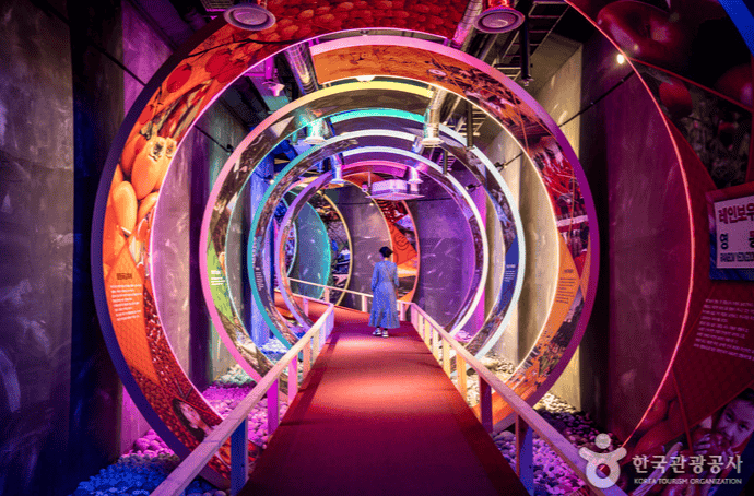 충북 영동와인터널